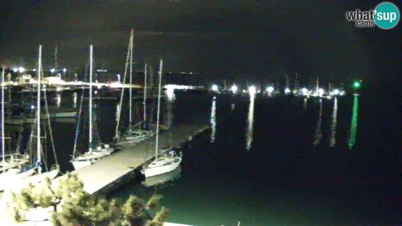 Webcam Sistiana – Marina and Bay Live View