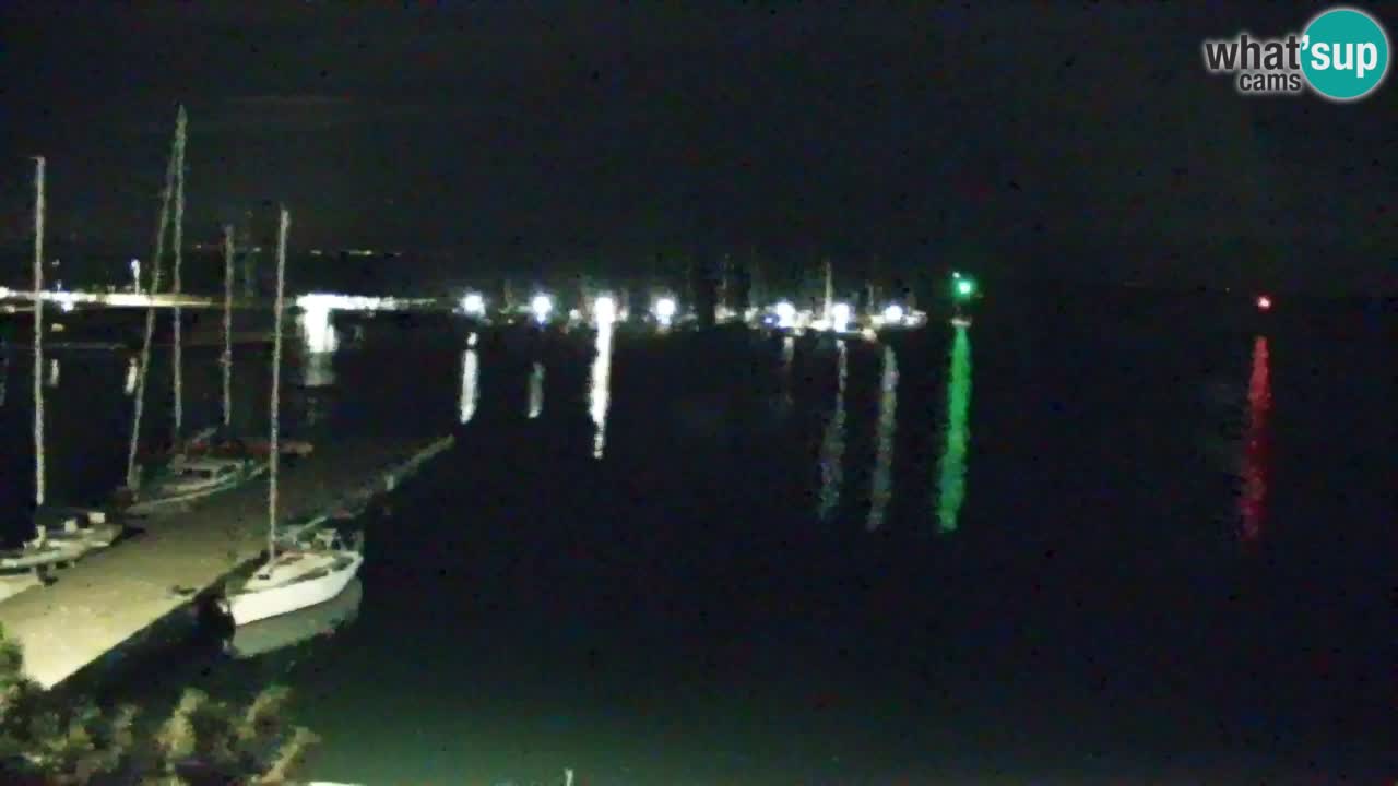 Webcam Sistiana – Marina and Bay Live View