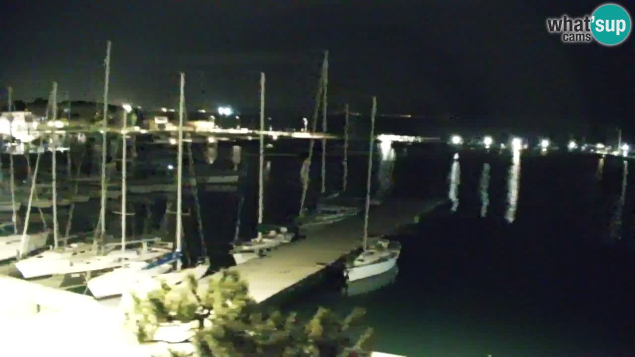 Webcam Sistiana – Marina and Bay Live View