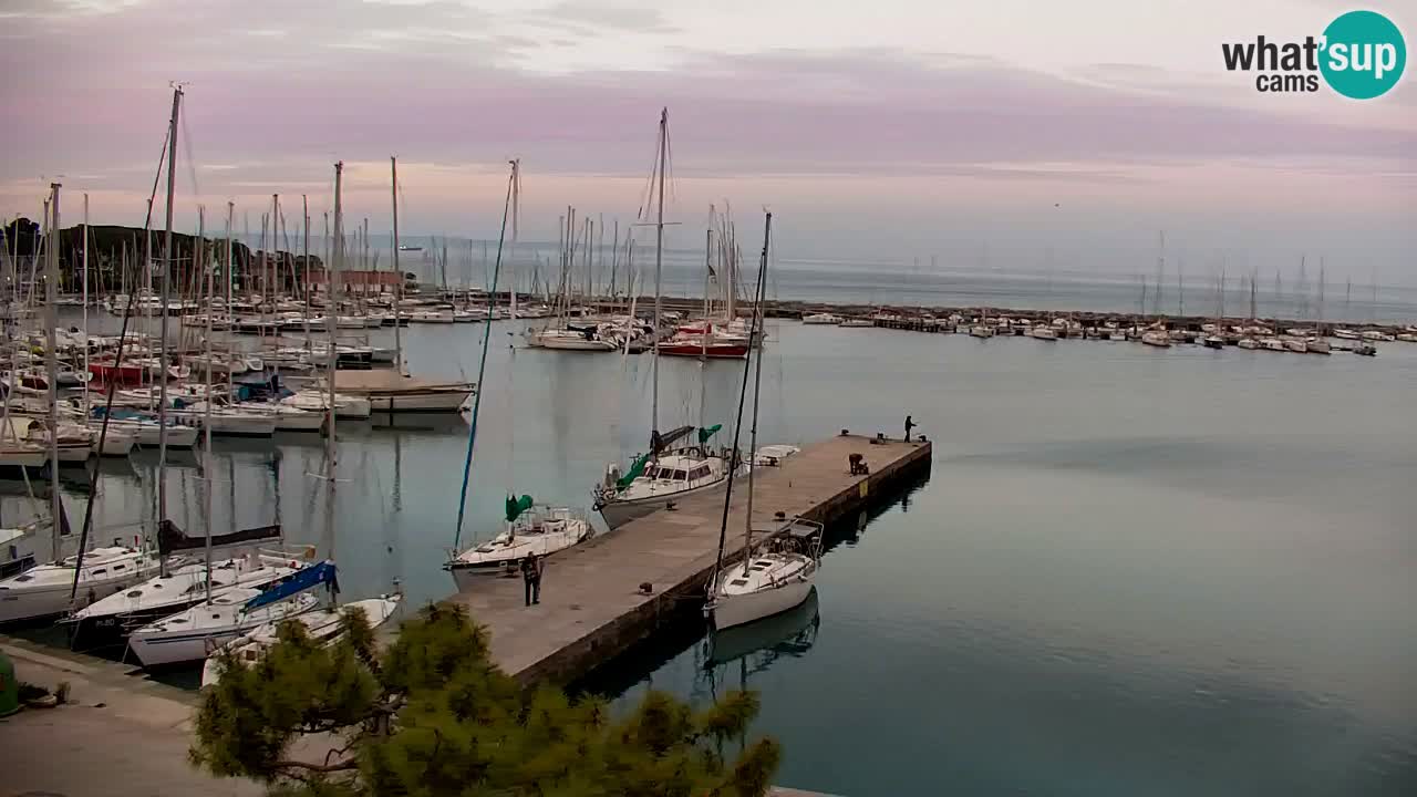 Webcam Sistiana – Marina and Bay Live View
