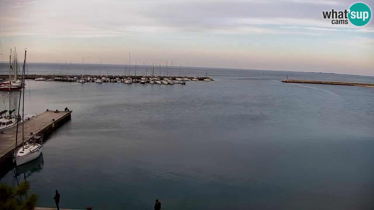 Spletna kamera Sesljan (Sistiana) – Pogled na marino in zaliv