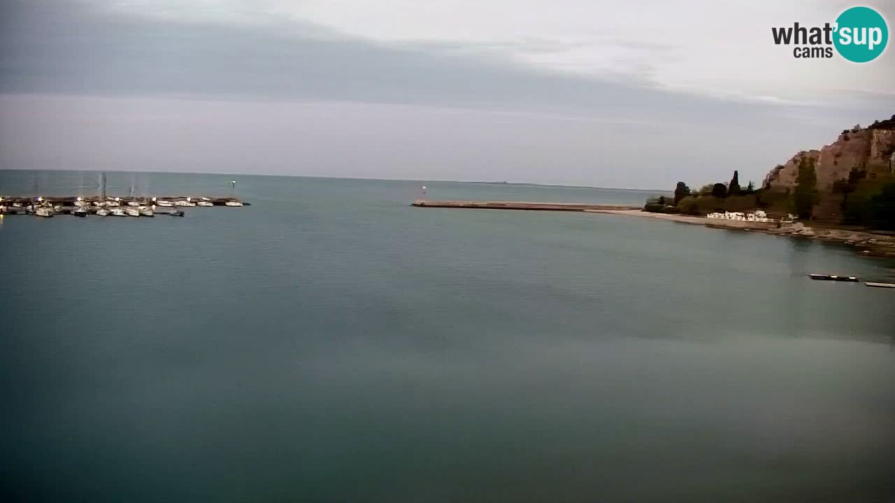 Webcam Sistiana – Marina and Bay Live View