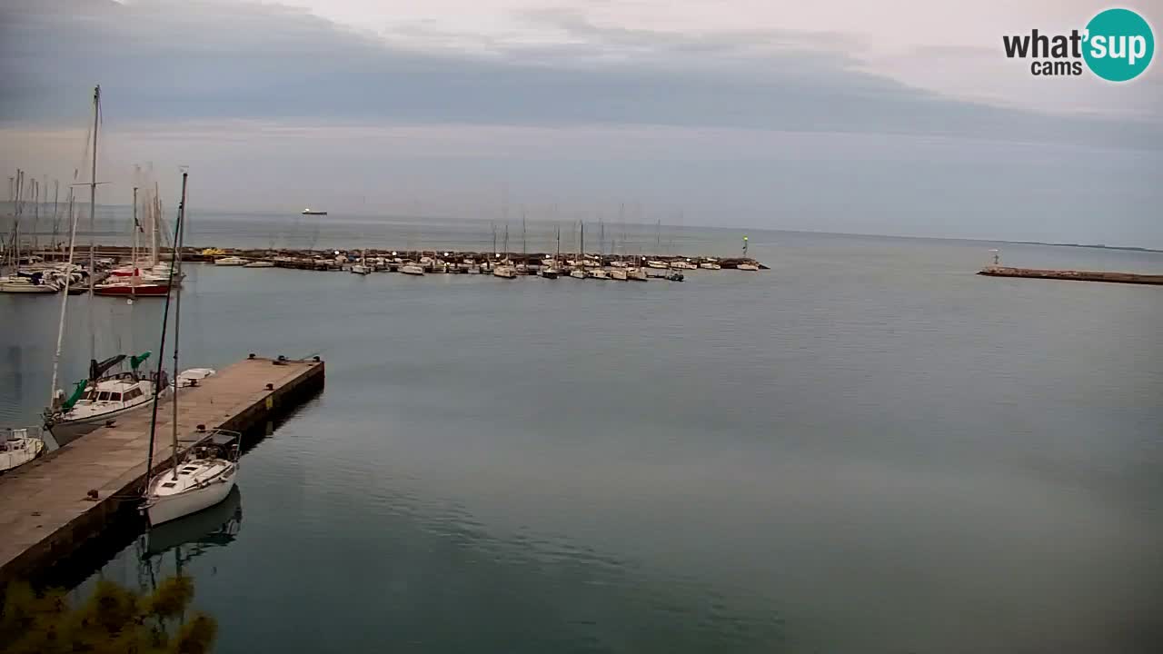 Spletna kamera Sesljan (Sistiana) – Pogled na marino in zaliv