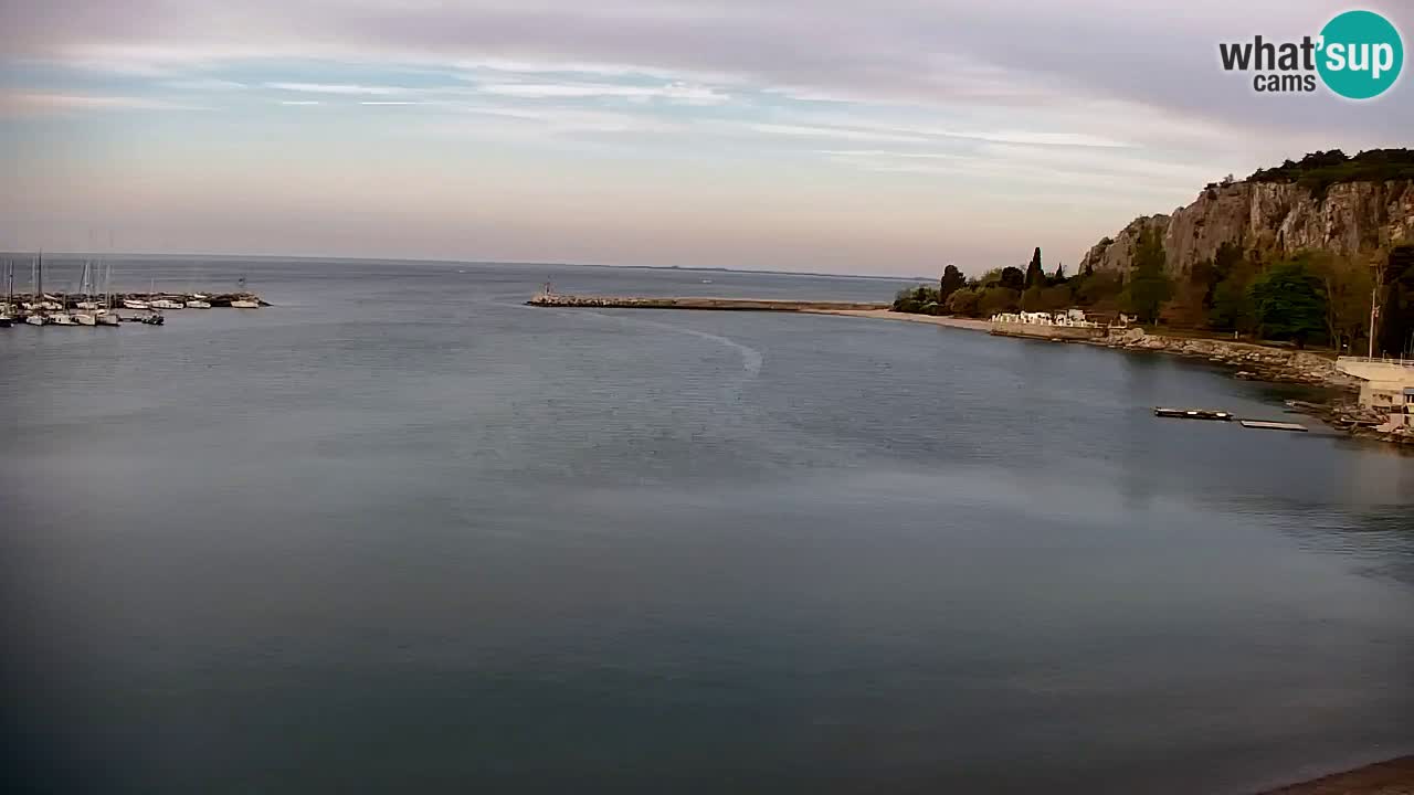 Spletna kamera Sesljan (Sistiana) – Pogled na marino in zaliv