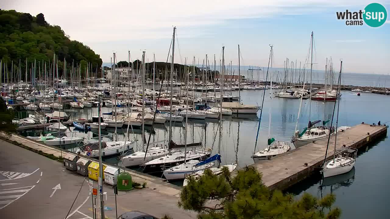 Spletna kamera Sesljan (Sistiana) – Pogled na marino in zaliv