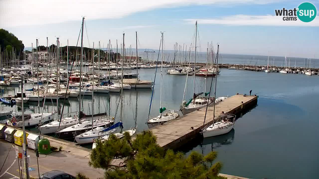 Spletna kamera Sesljan (Sistiana) – Pogled na marino in zaliv