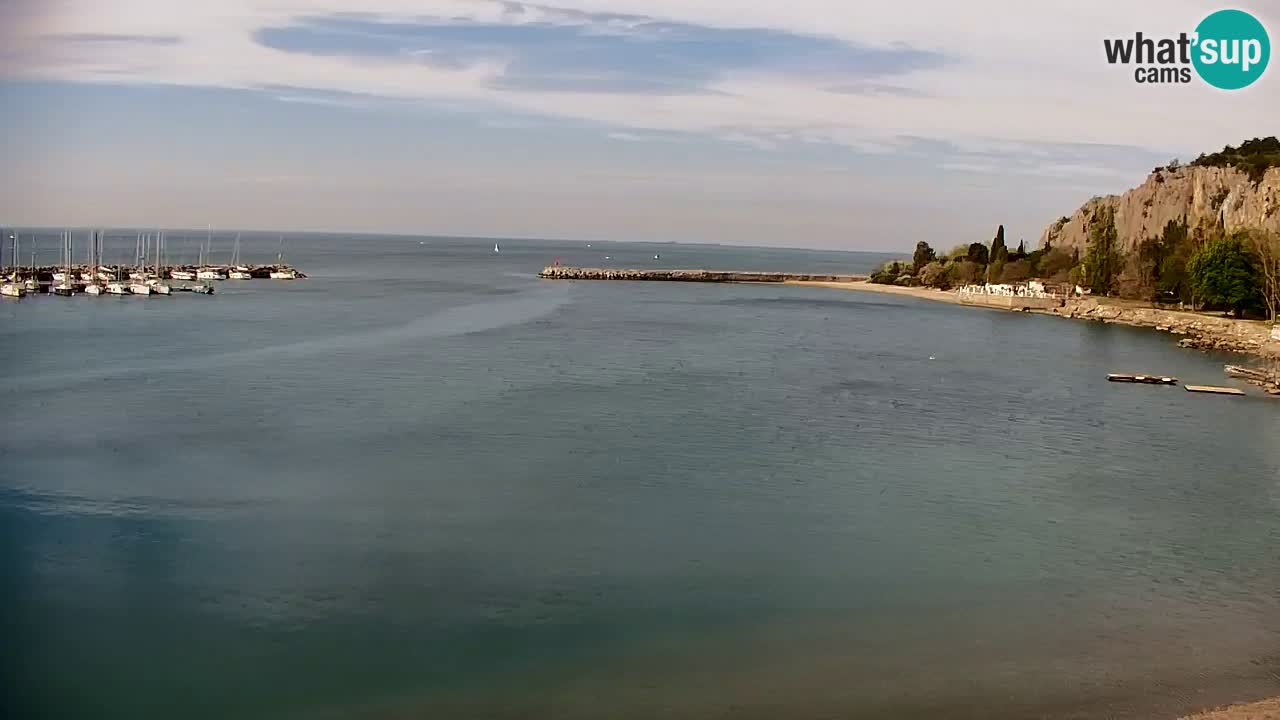 Webcam Sistiana – Pogled na marinu i zaljev