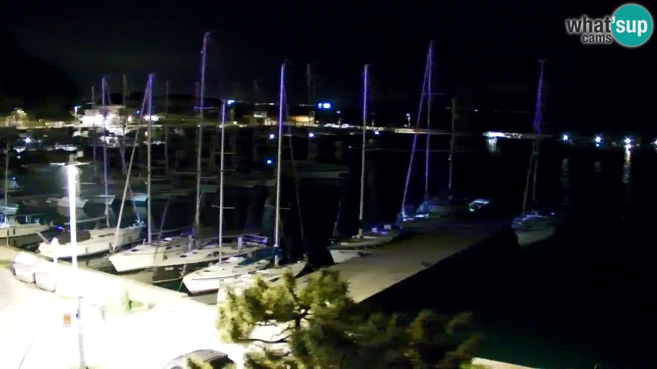 Webcam Sistiana – Marina and Bay Live View