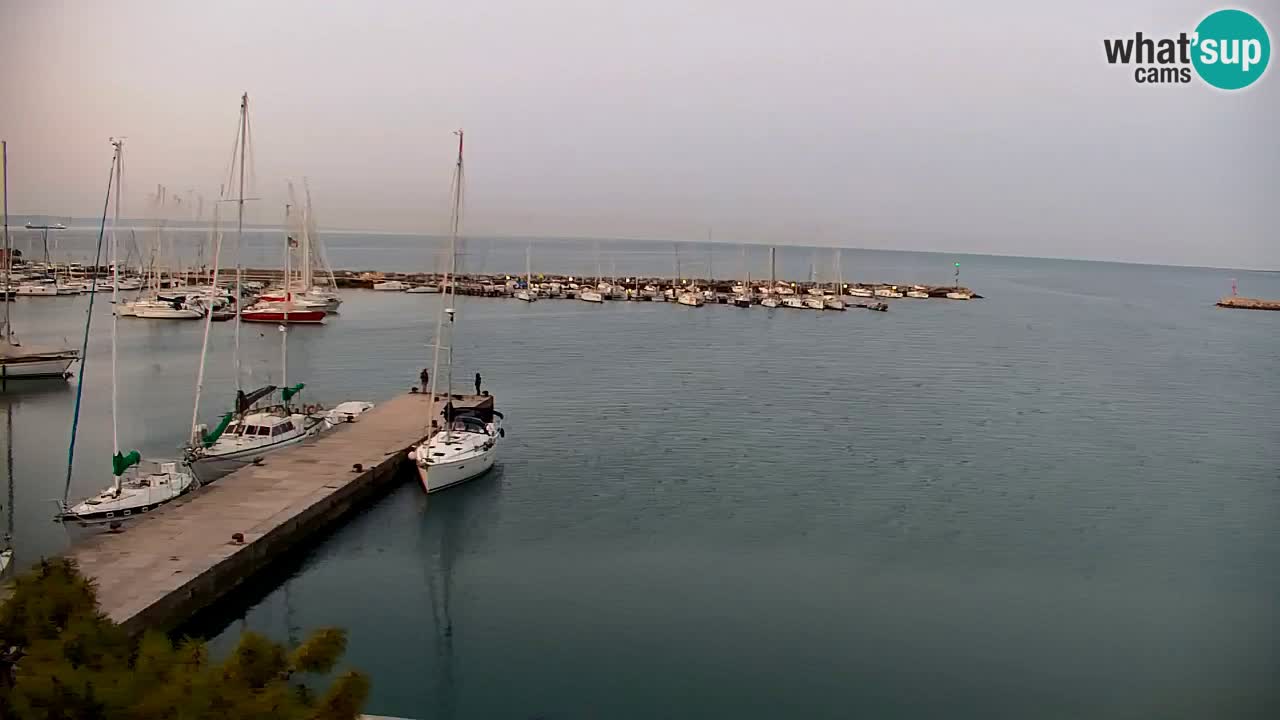 Spletna kamera Sesljan (Sistiana) – Pogled na marino in zaliv