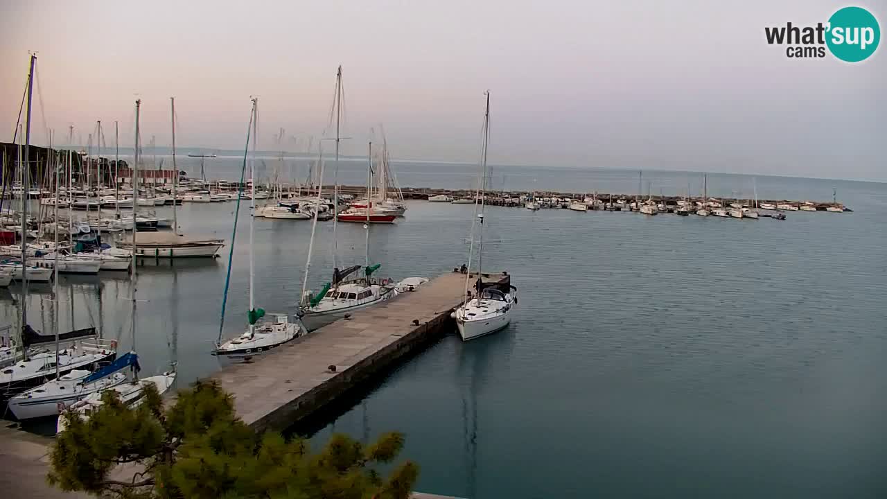 Webcam Sistiana – Marina and Bay Live View
