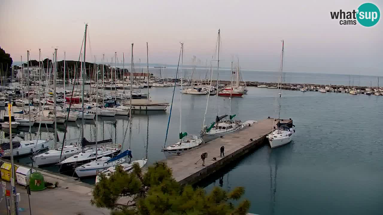 Webcam Sistiana – Vista sulla marina e sulla baia