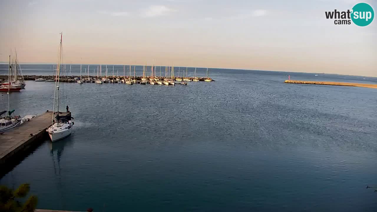 Spletna kamera Sesljan (Sistiana) – Pogled na marino in zaliv