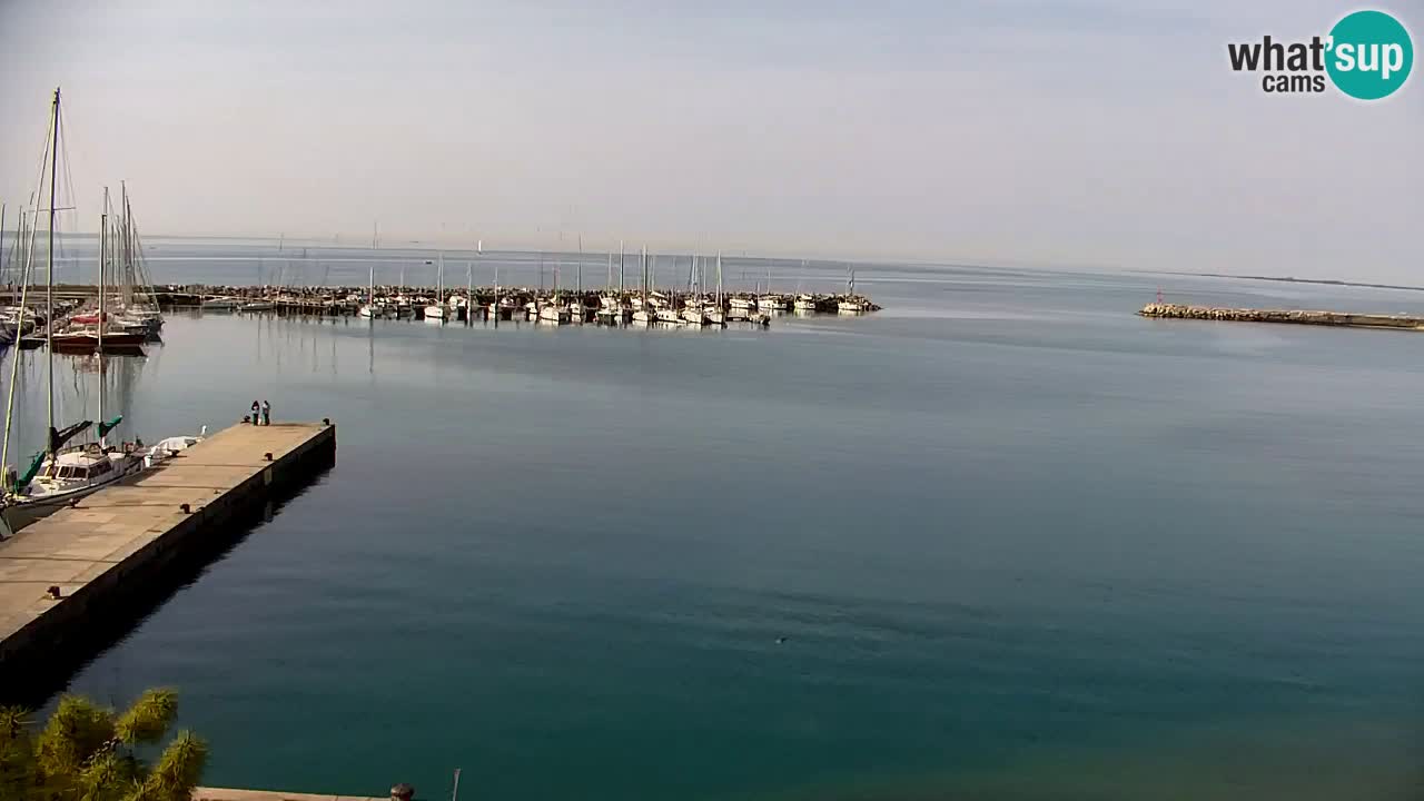 Webcam Sistiana – Vista sulla marina e sulla baia
