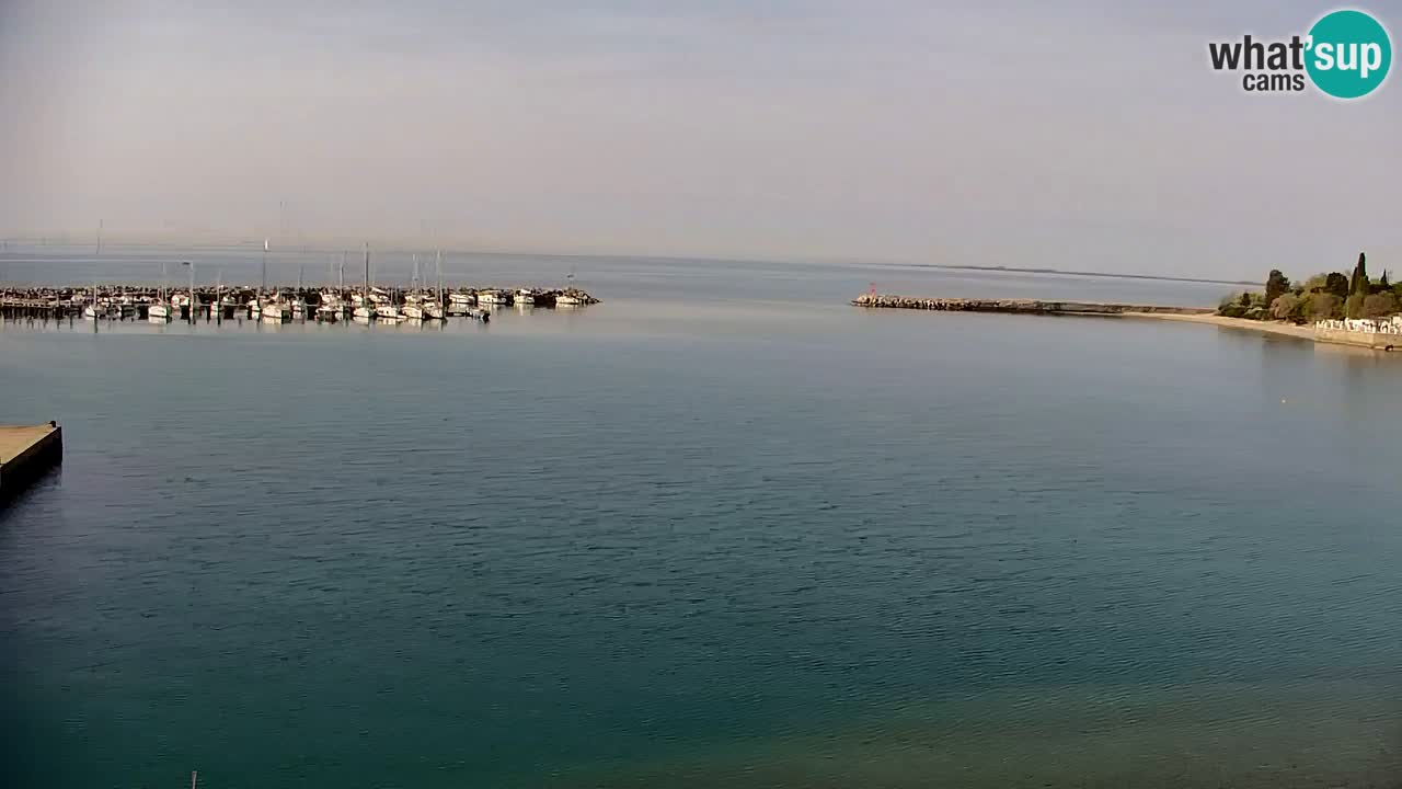 Webcam Sistiana – Vista sobre la marina y la bahía