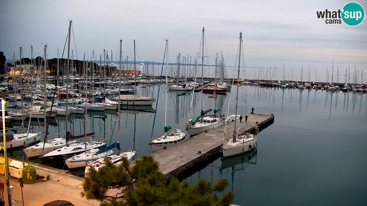 Webcam Sistiana – Marina and Bay Live View
