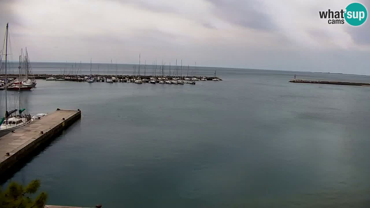 Spletna kamera Sesljan (Sistiana) – Pogled na marino in zaliv