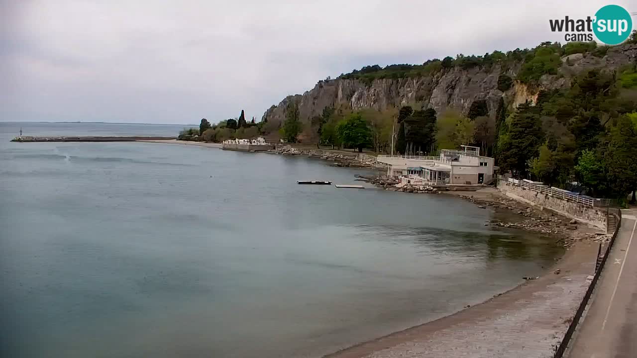 Webcam Sistiana – Pogled na marinu i zaljev