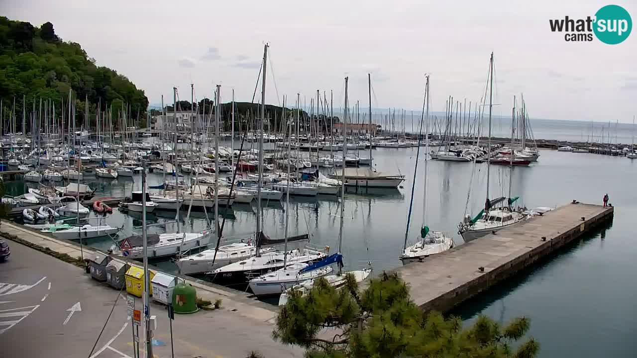 Webcam Sistiana – Marina and Bay Live View