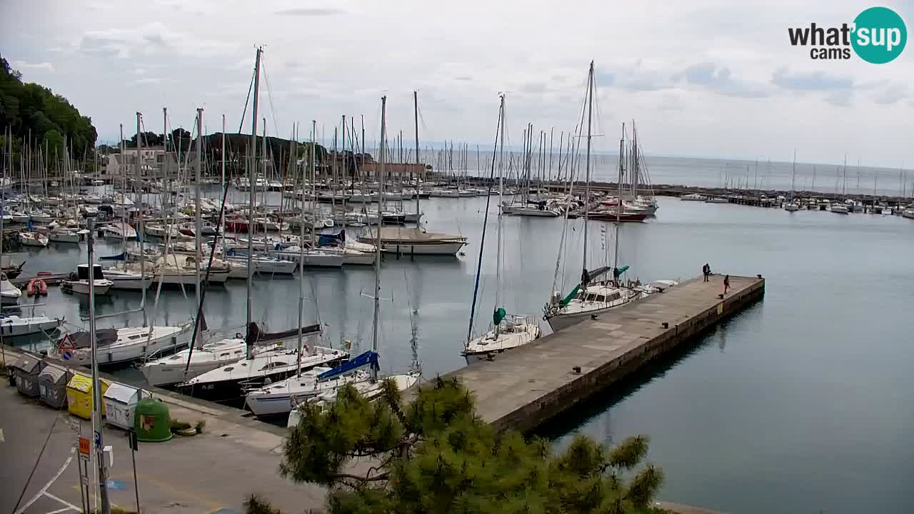 Spletna kamera Sesljan (Sistiana) – Pogled na marino in zaliv