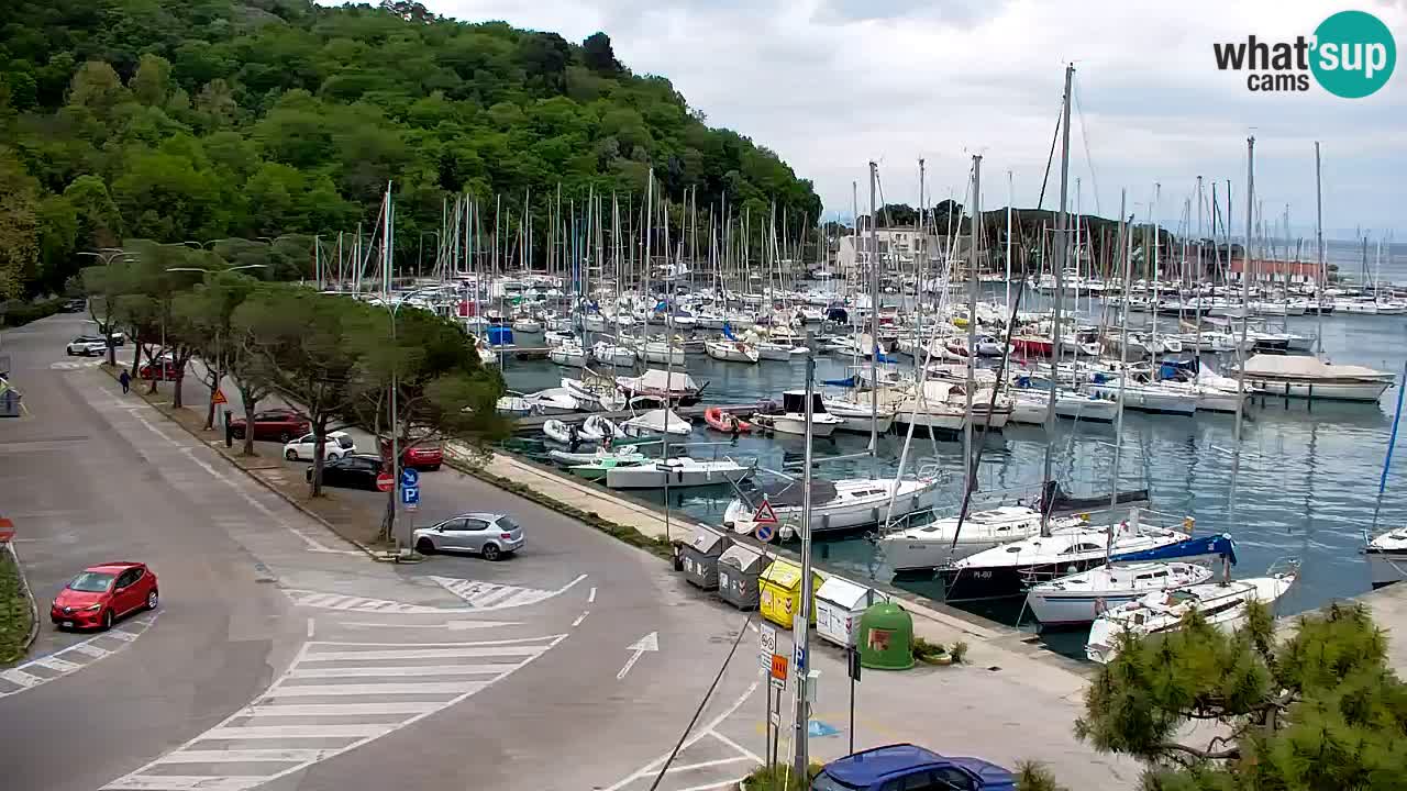 Webcam Sistiana – Pogled na marinu i zaljev