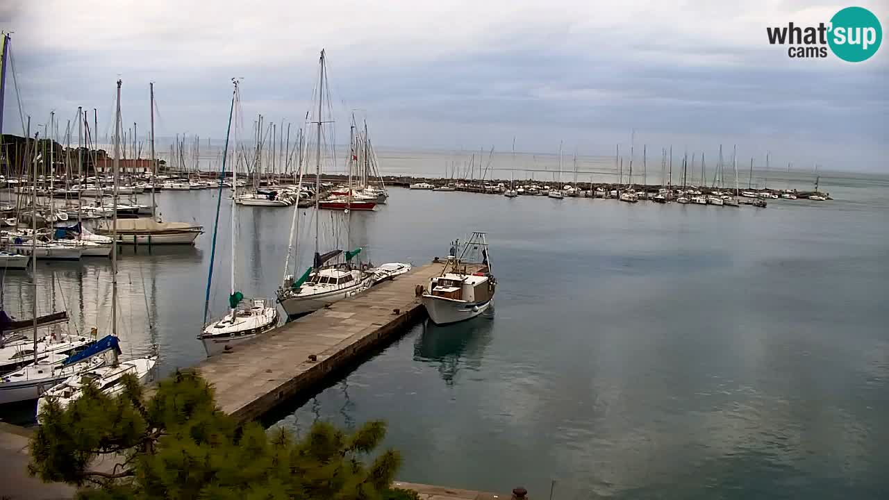 Webcam Sistiana – Pogled na marinu i zaljev