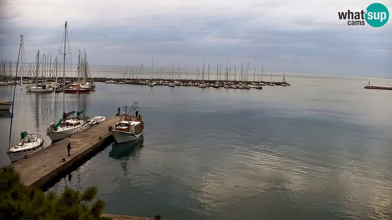 Webcam Sistiana – Pogled na marinu i zaljev