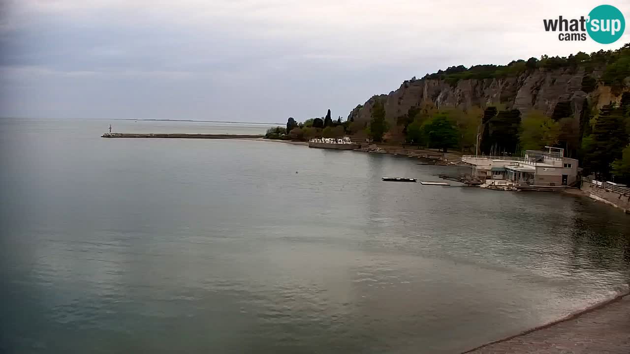 Spletna kamera Sesljan (Sistiana) – Pogled na marino in zaliv