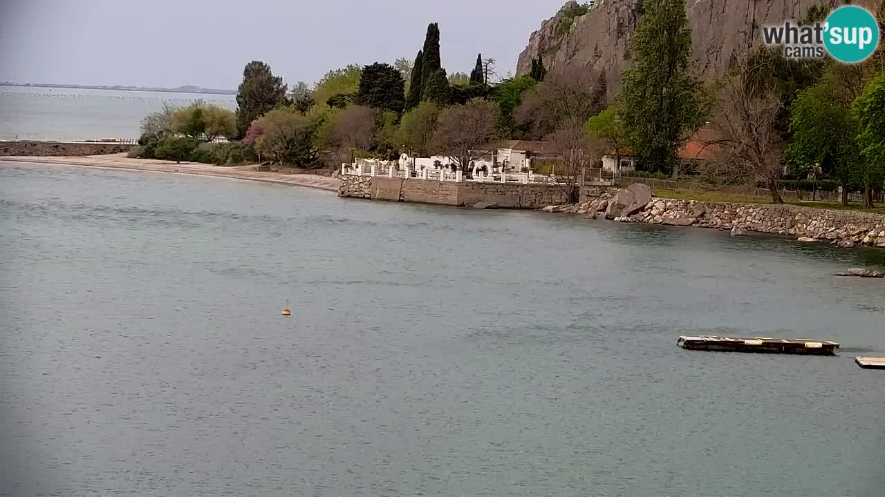 Webcam Sistiana – Pogled na marinu i zaljev