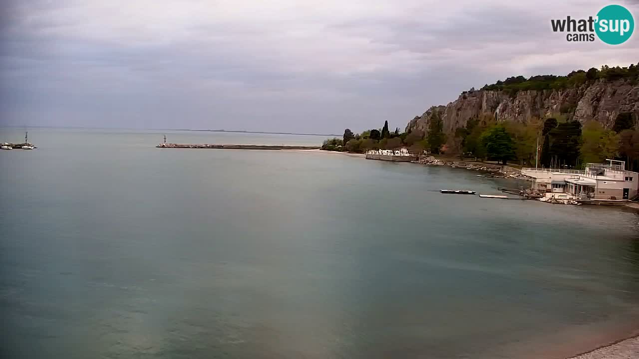 Webcam Sistiana – Pogled na marinu i zaljev