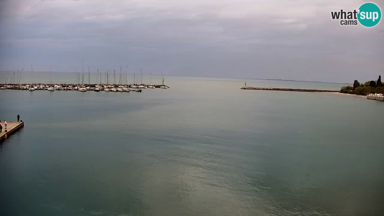 Spletna kamera Sesljan (Sistiana) – Pogled na marino in zaliv