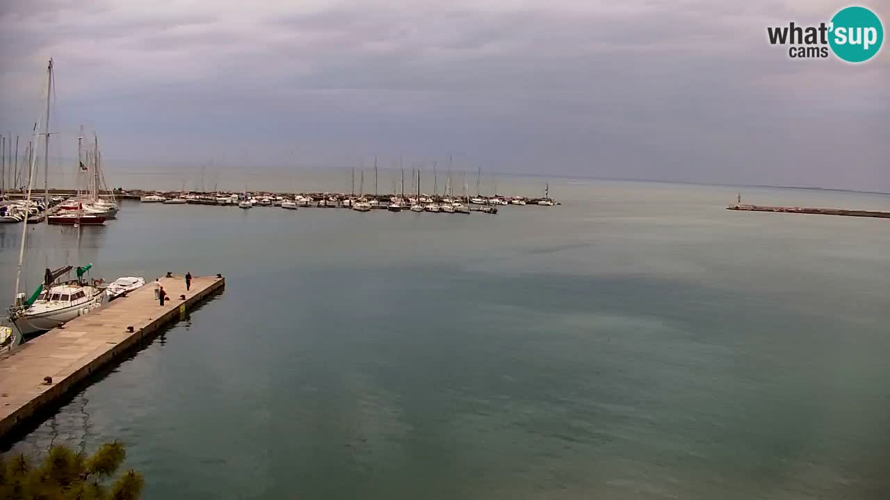 Webcam Sistiana – Pogled na marinu i zaljev