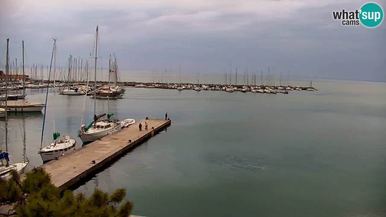 Spletna kamera Sesljan (Sistiana) – Pogled na marino in zaliv