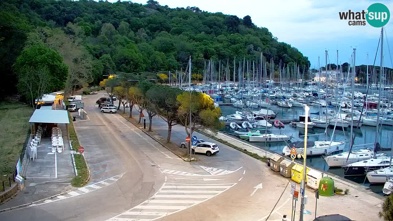 Spletna kamera Sesljan (Sistiana) – Pogled na marino in zaliv