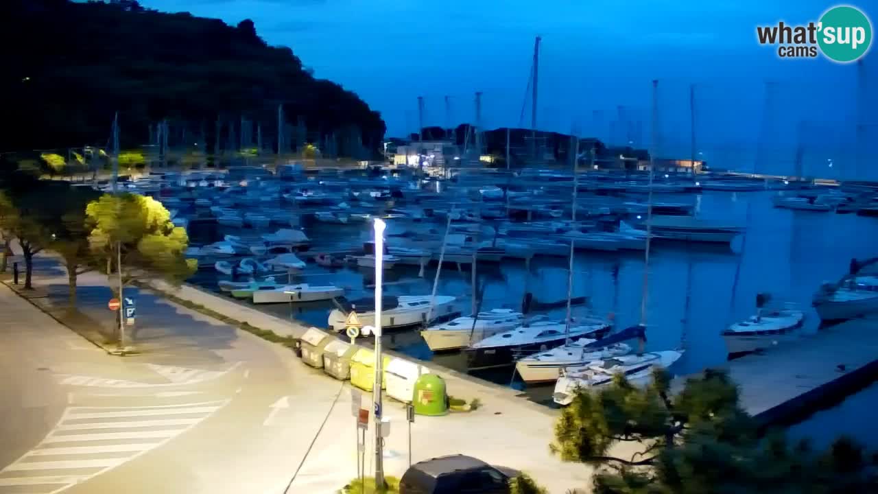 Spletna kamera Sesljan (Sistiana) – Pogled na marino in zaliv