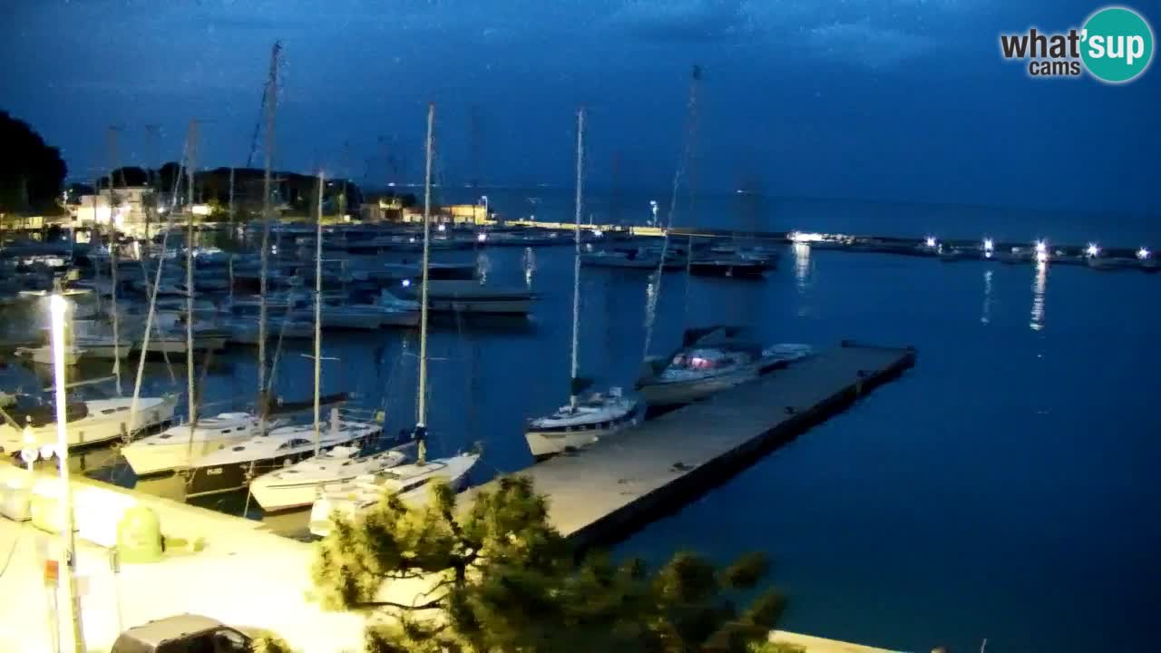 Webcam Sistiana – Pogled na marinu i zaljev