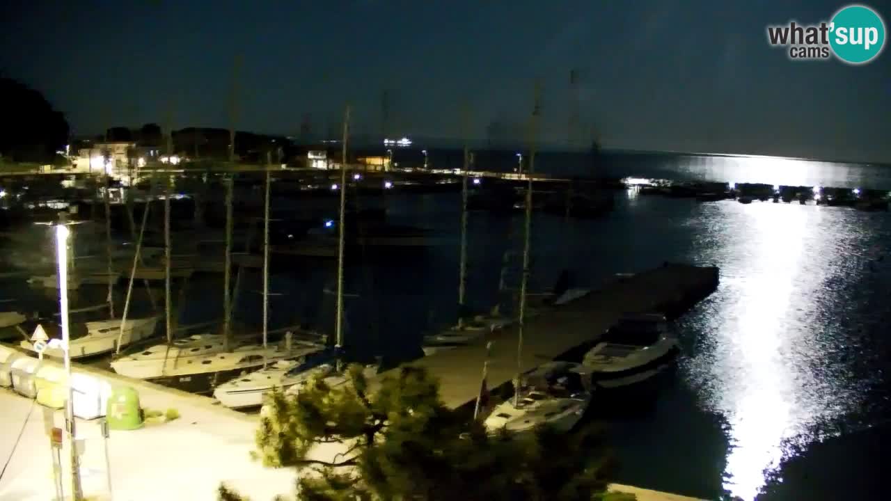 Webcam Sistiana – Vista sobre la marina y la bahía