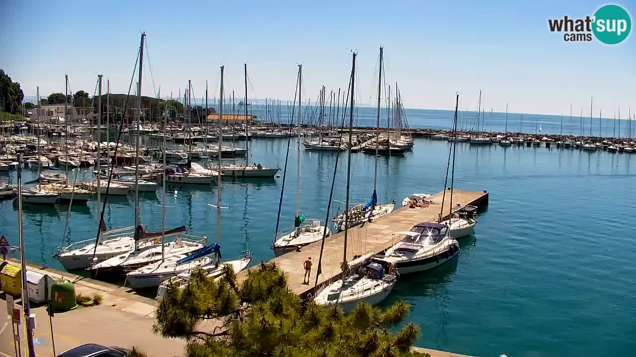 Webcam Sistiana – Marina and Bay Live View