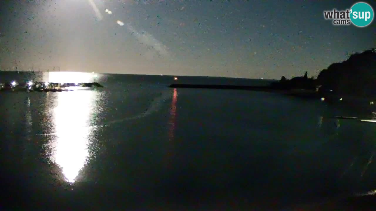 Webcam Sistiana – Marina and Bay Live View