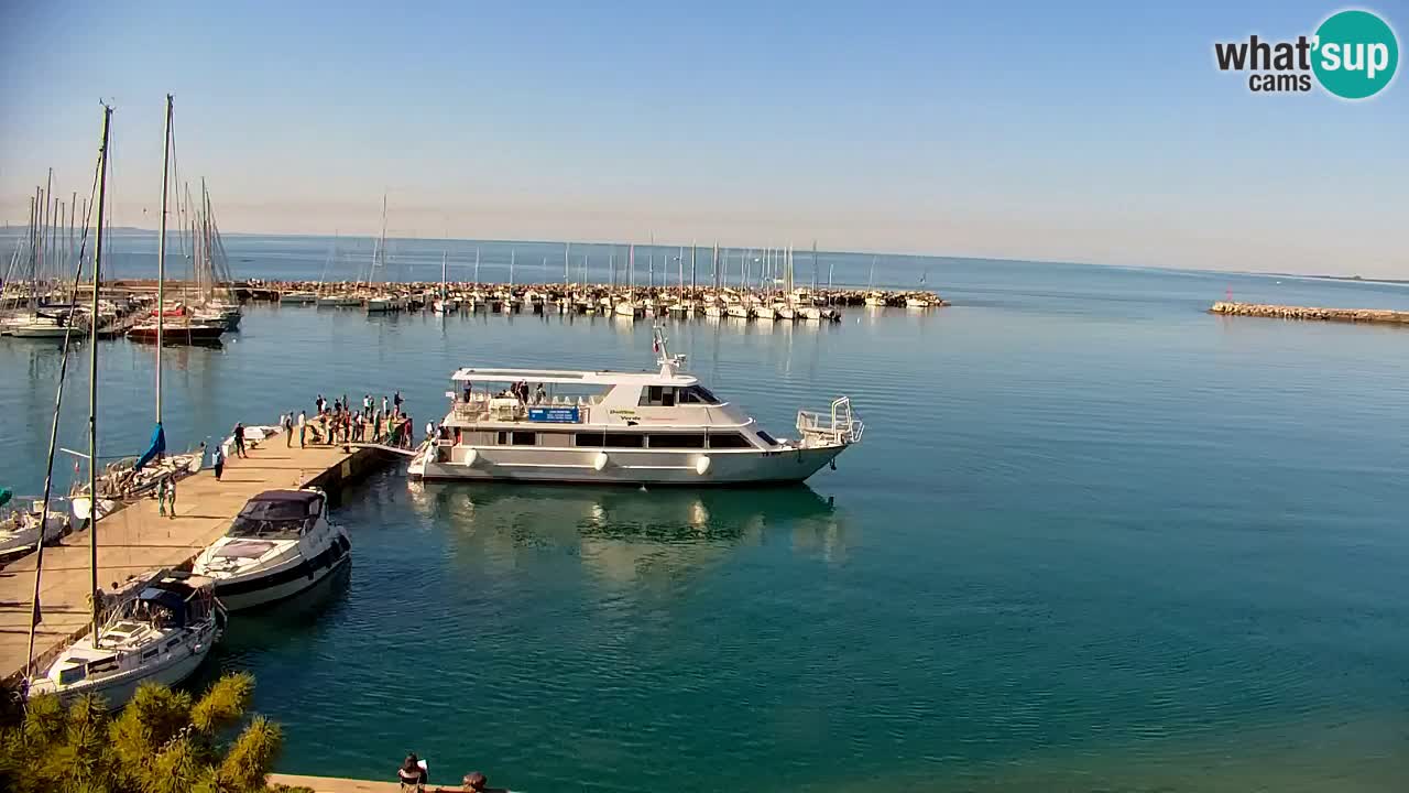 Webcam Sistiana – Vista sobre la marina y la bahía