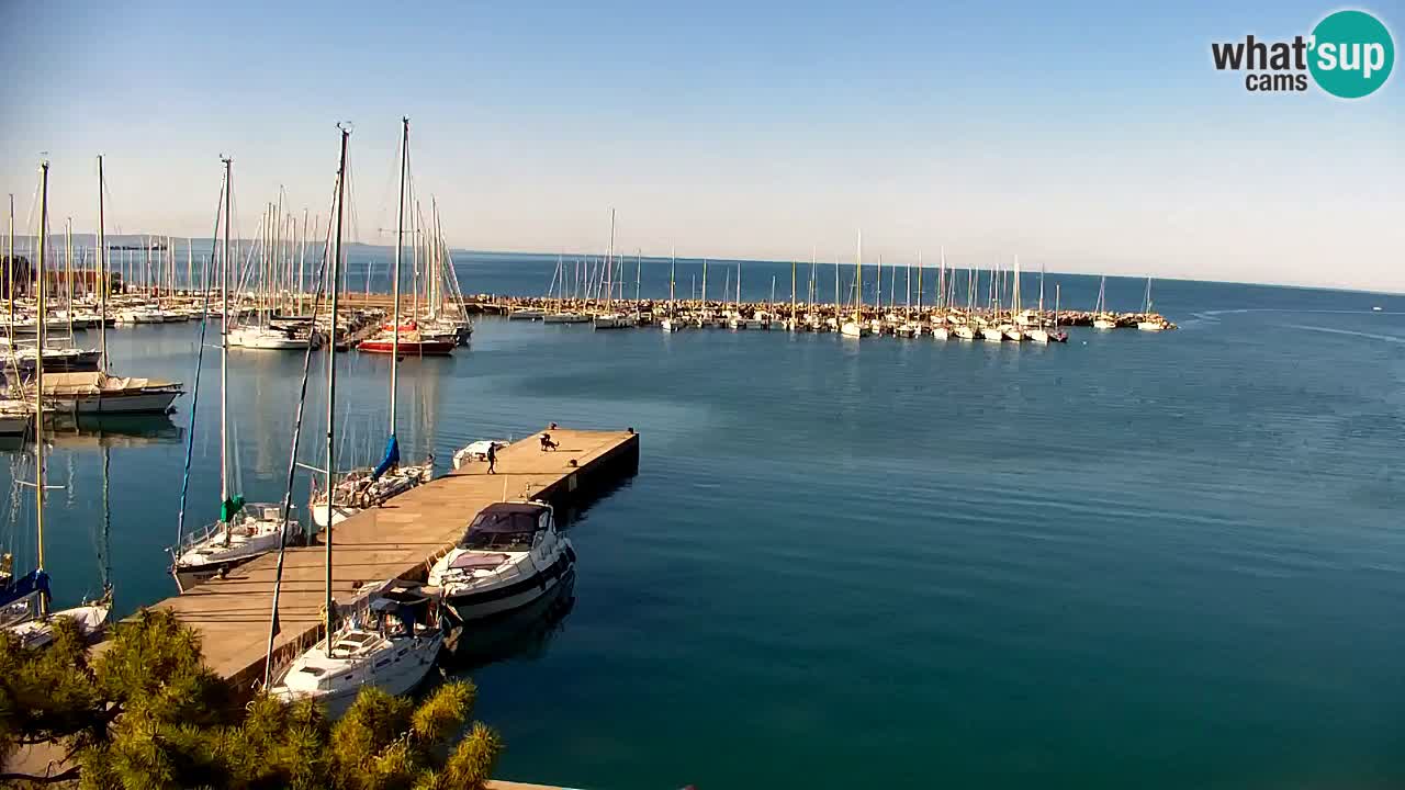 Spletna kamera Sesljan (Sistiana) – Pogled na marino in zaliv