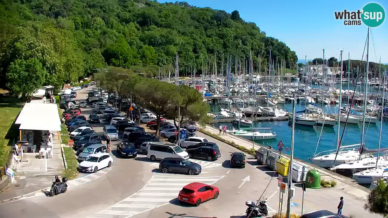 Spletna kamera Sesljan (Sistiana) – Pogled na marino in zaliv