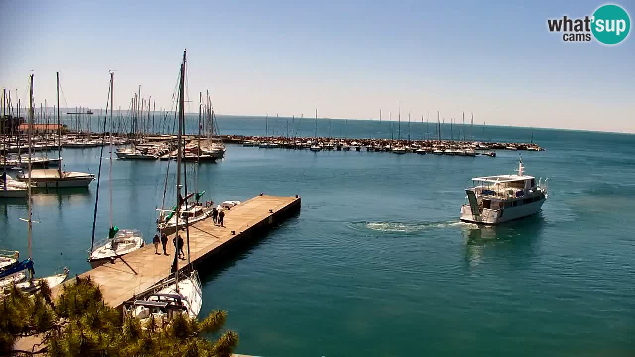 Webcam Sistiana – Vista sobre la marina y la bahía