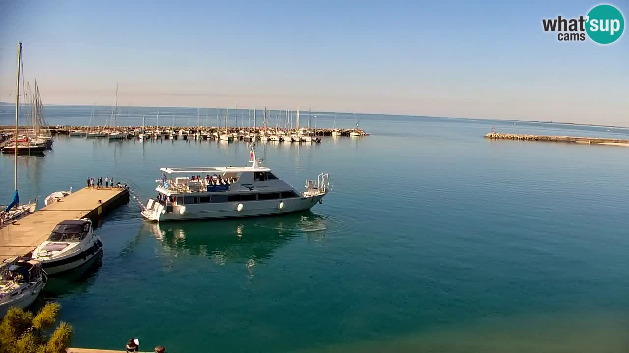 Webcam Sistiana – Pogled na marinu i zaljev