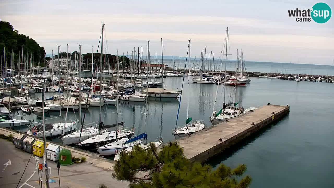 Webcam Sistiana – Marina and Bay Live View