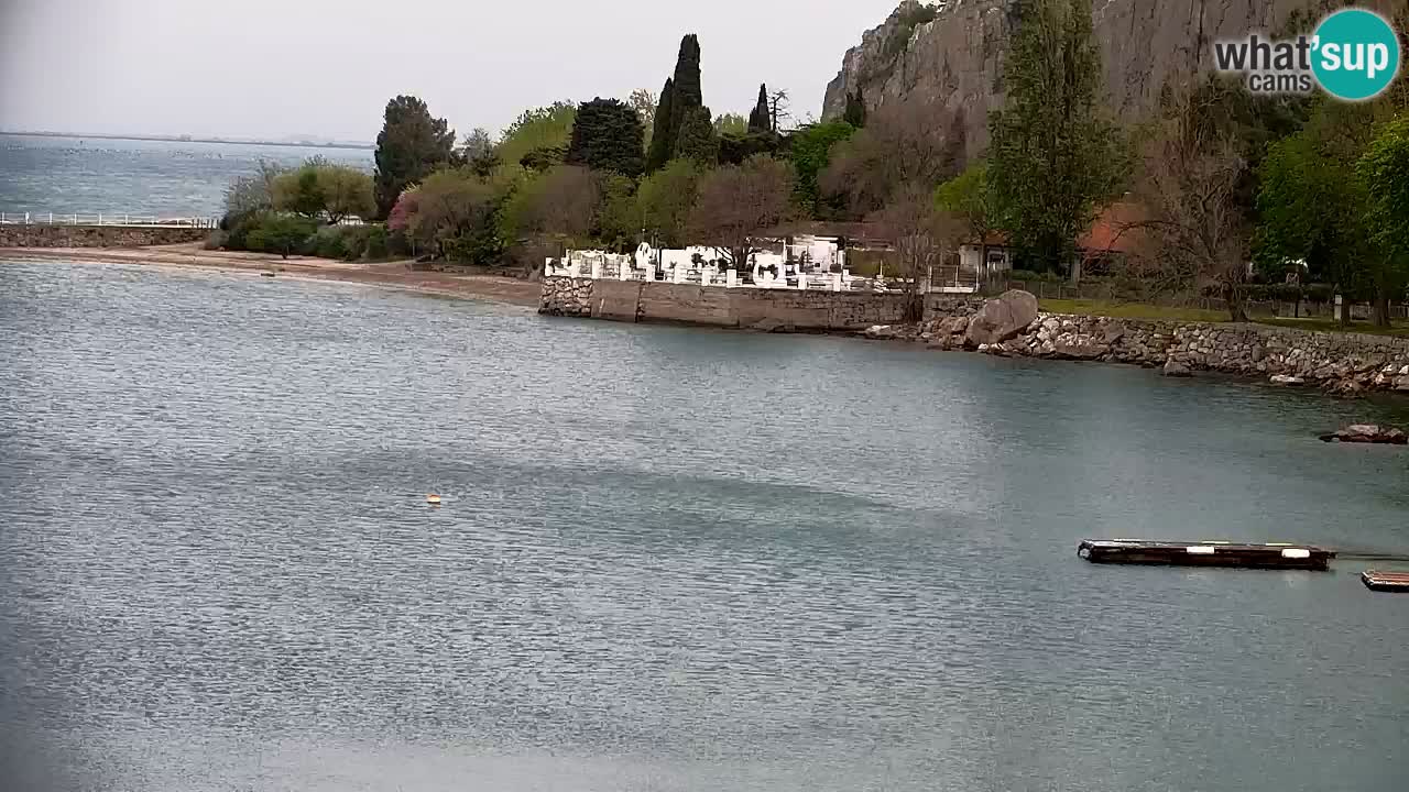 Spletna kamera Sesljan (Sistiana) – Pogled na marino in zaliv