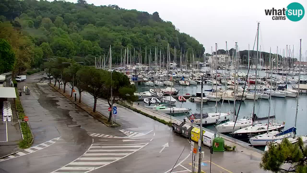 Webcam Sistiana – Marina and Bay Live View