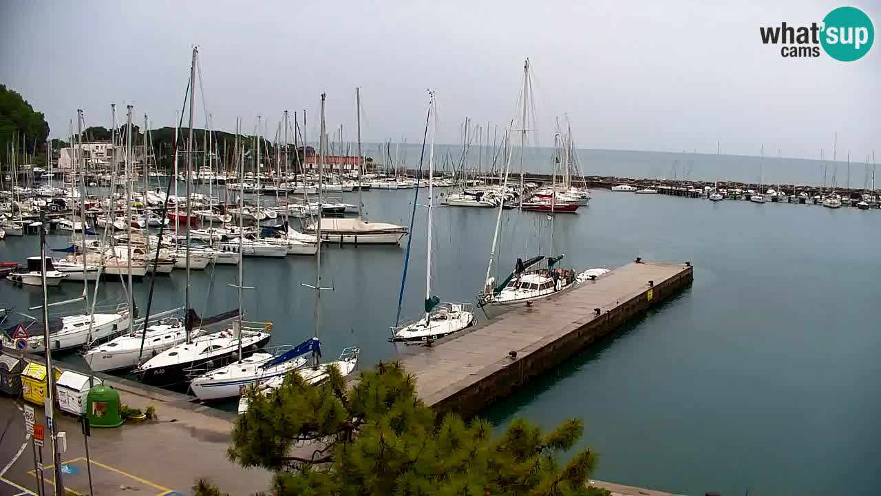 Webcam Sistiana – Pogled na marinu i zaljev
