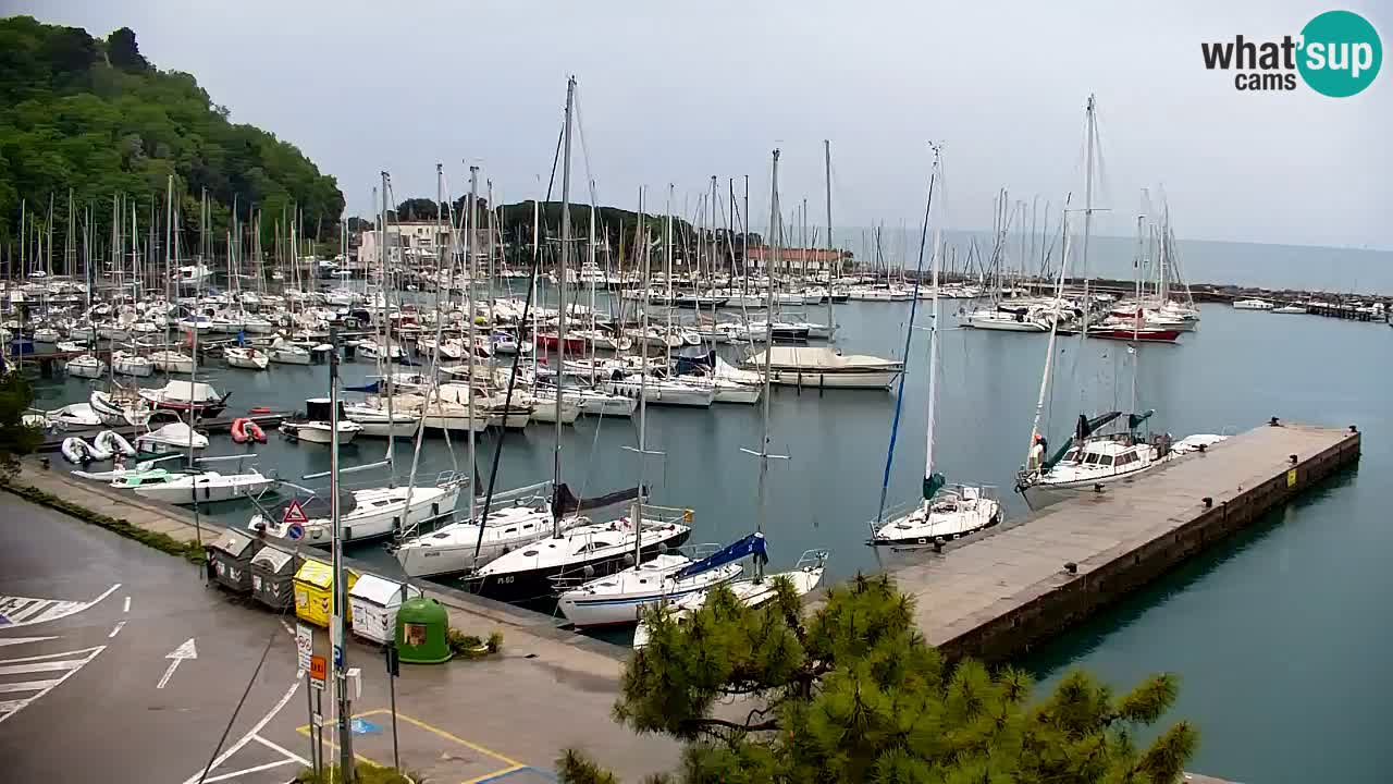 Webcam Sistiana – Vista sulla marina e sulla baia