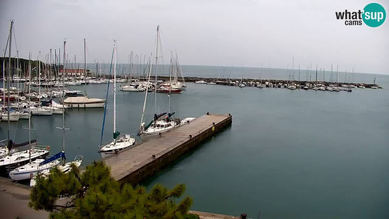 Webcam Sistiana – Vista sobre la marina y la bahía