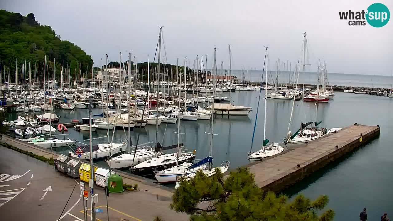 Webcam Sistiana – Blick auf Marina und Bucht
